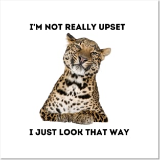 Angry Leopard in Denial Posters and Art